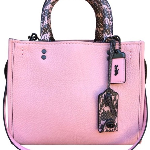 ISO rogue!! I’m looking for a rogue this size and color for a reasonable price! - Picture 1 of 1